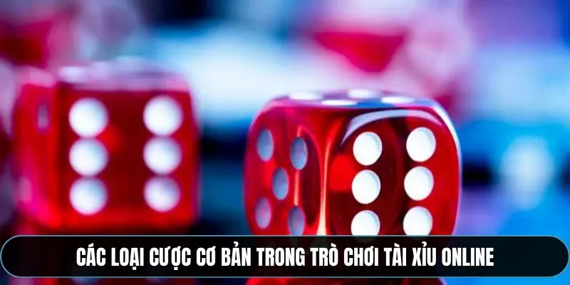 Các loại cược cơ bản trong trò chơi tài xỉu online